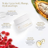 Coconut Lip Sleeping Masque (0.5oz/15g)